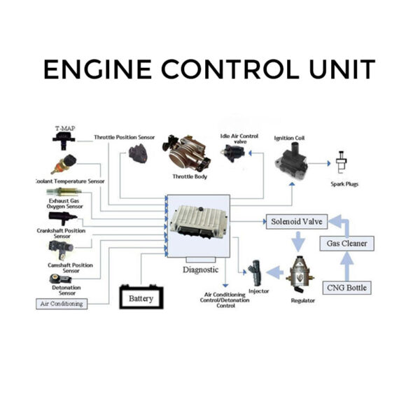 What Are The Core Components of ECU? - AutoExplain