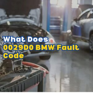 0029D0 BMW Fault Code
