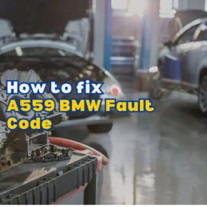 A559 BMW Fault Code