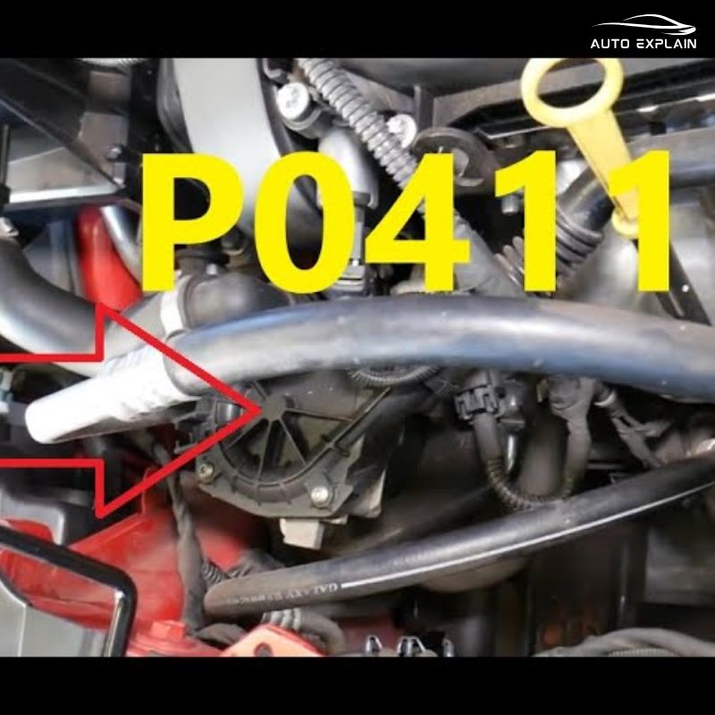 Audi Code P0411