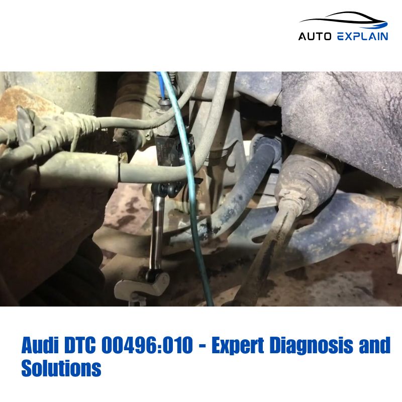 Audi DTC 00496