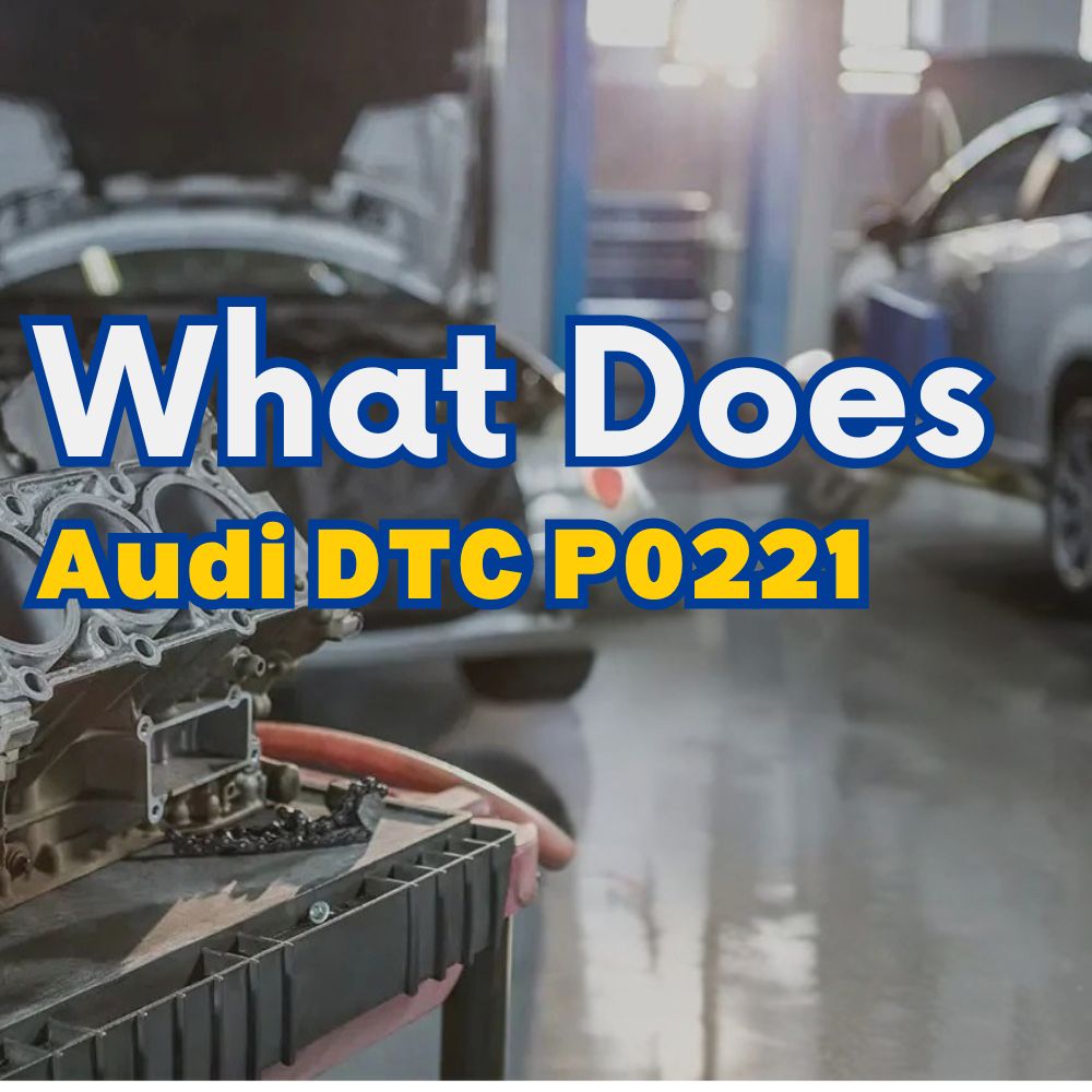 Audi DTC P0221