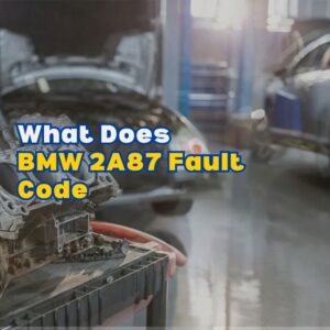 BMW 2A87 Fault Code