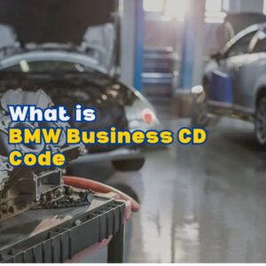 BMW Business CD Code