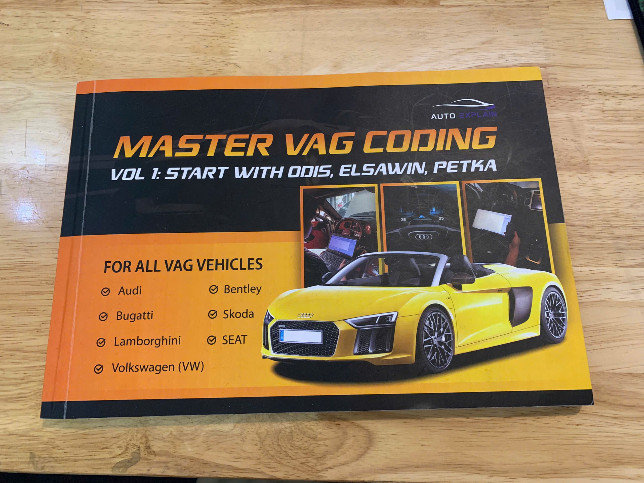 Master VAG Coding vs VAG Expertise (6)